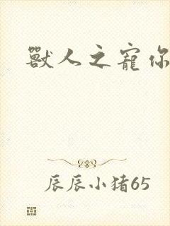 兽人之宠你为上