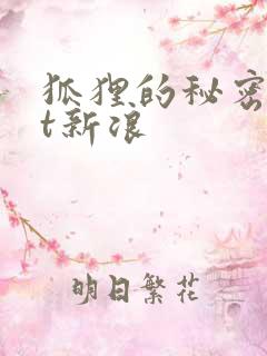 狐狸的秘密txt新浪