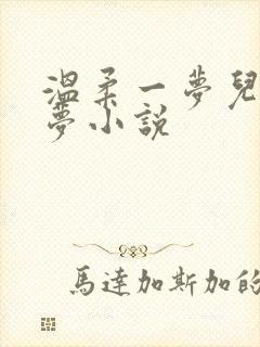 温柔一梦儿媳林梦小说