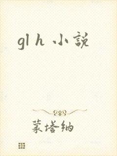 gl h 小说