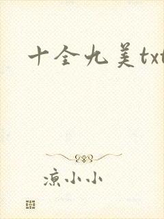 十全九美txt