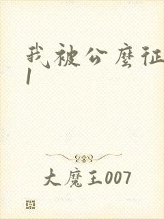 我被公么征服了1