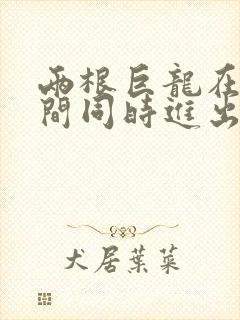 两根巨龙在她腿间同时进出