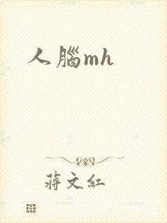 人脑mh