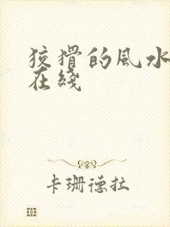 狡猾的风水相师在线