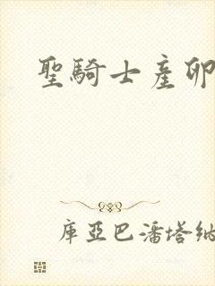 圣骑士产卵记