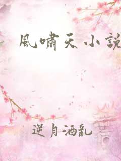 风啸天小说