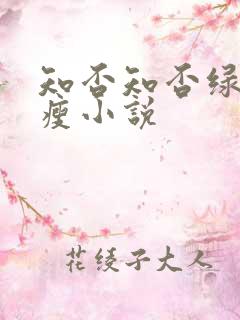 知否知否绿肥红瘦小说