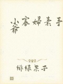 小寡妇素手擒四爷