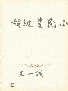 超级农民小说