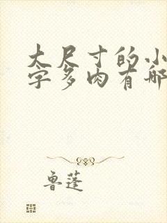 大尺寸的小黄说字多肉有哪些