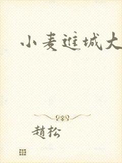 小麦进城大结局