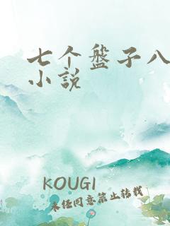 七个盘子八个碗小说