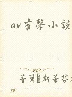 av有声小说