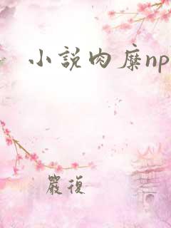 小说肉糜np