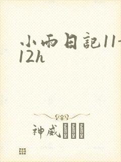 小雨日记11-12h