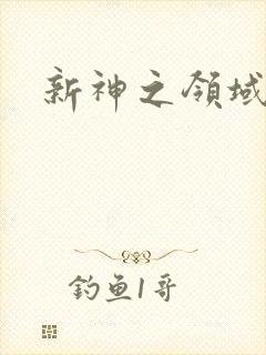 新神之领域