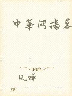 中华网揭幕内参