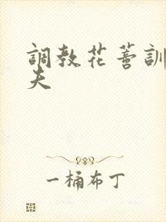 调教花蒂训诫从夫