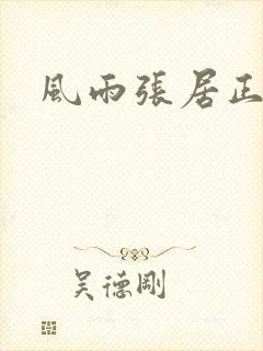 风雨张居正下载