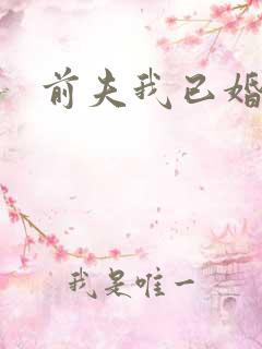 前夫我已婚