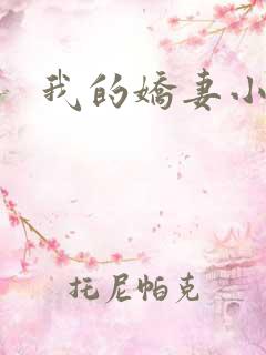 我的娇妻小说