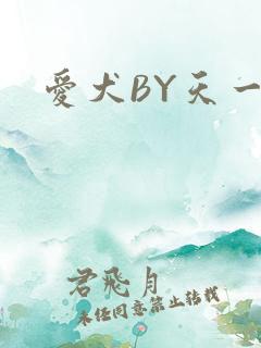 爱犬BY天一