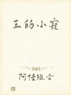 王的小宠