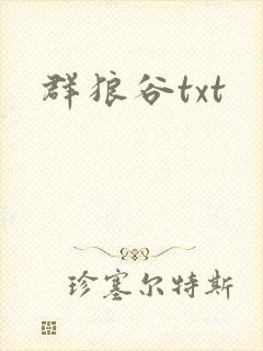 群狼谷txt