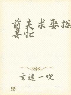 前夫求娶总裁追妻忙