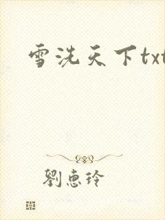 雪洗天下txt