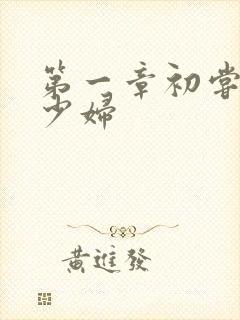 第一章初尝极品少妇
