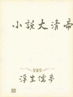 小说大清帝国