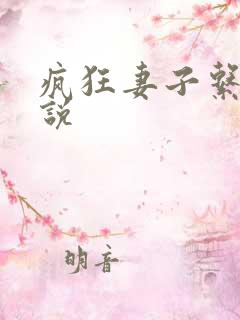 疯狂妻子系列小说