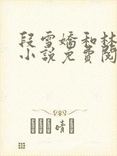 段雪娇和林杰的小说免费阅读