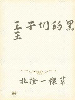 王子们的黑道公主