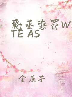 飞丞惩罚WRITE AS