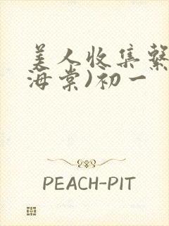 美人收集系统(海棠)初一