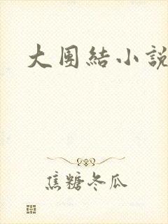 大团结小说阅读