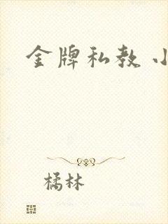 金牌私教 小说