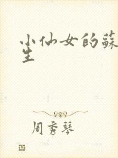 小仙女的苏撩先生