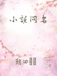 小说网名