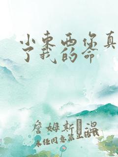 小东西你真能要了我的命