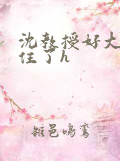 沈教授好大含不住了h