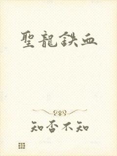 圣龙铁血