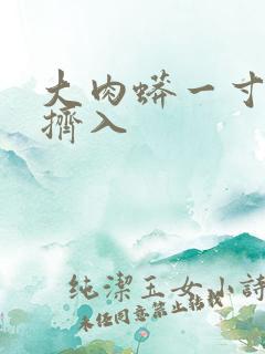 大肉蟒一寸一寸挤入