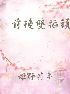 前后双插头互攻