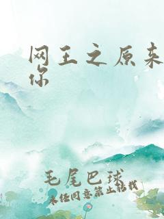 网王之原来我爱你