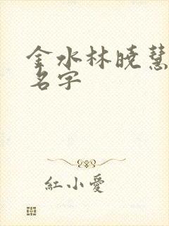 金水林晓慧小说名字