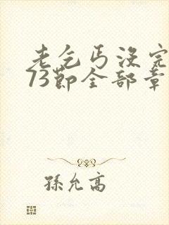 老乞丐没完没了73节全部章节内容
